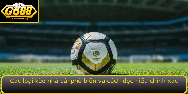 Cac Loai Strongkeo Nha Caistrong Pho Bien Va Cach Oc Hieu Chinh Xac