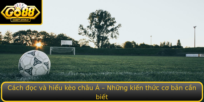 Cách đọc và hiểu kèo châu Á – Những kiến thức cơ bản cần biết Cách đọc và hiểu kèo châu Á – Những kiến thức cơ bản cần biết