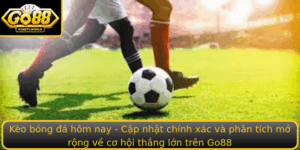 Keo Bong A Hom Nay Cap Nhat Chinh Xac Va Phan Tich Mo Rong Ve Co Hoi Thang Lon Tren Go88