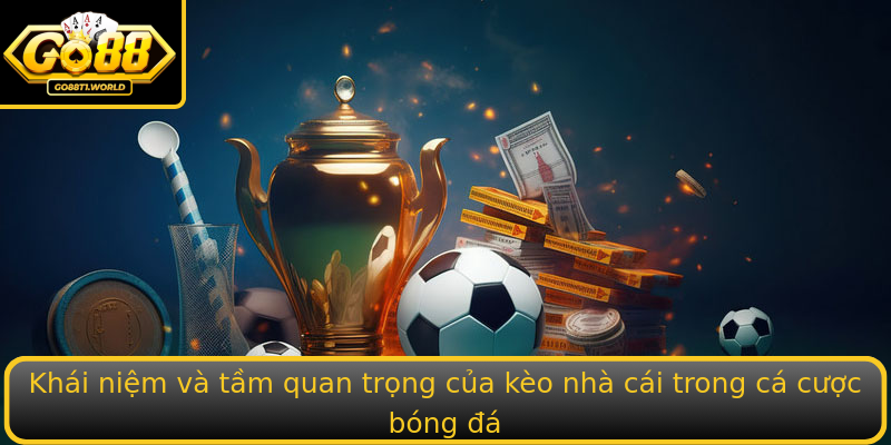 Khai Niem Va Tam Quan Trong Cua Strongkeo Nha Caistrong Trong Ca Cuoc Bong A
