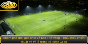 Kham Pha Moi Goc Nhin Ve Keo The Vang Thau Hieu Chien Thuat Va Ty Le Trong Ca Cuoc Go88