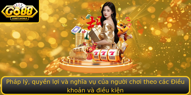 Pháp lý, quyền lợi và nghĩa vụ của người chơi theo các Điều khoản và điều kiện