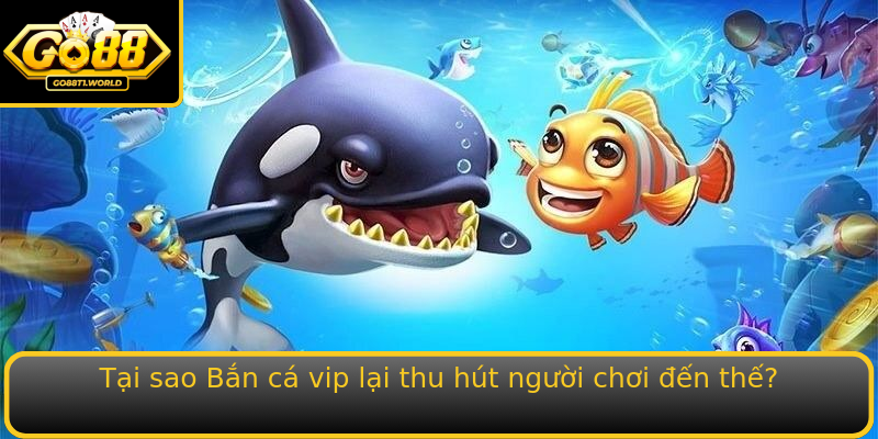 Tai Sao Strongban Ca Vipstrong Lai Thu Hut Nguoi Choi En The